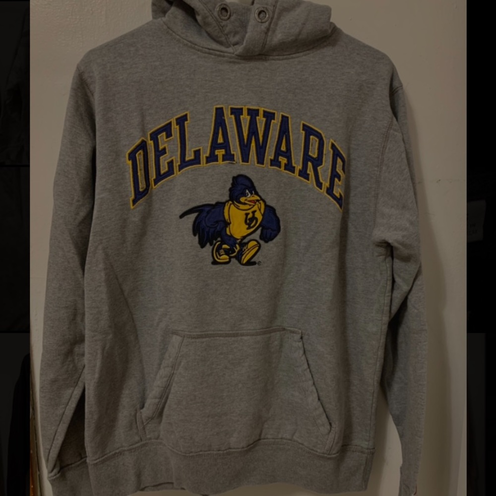 College Hoodie Delaware